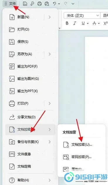 如何在Word中找到文档加密设置与操作方法?图3